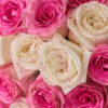Ramo Rose