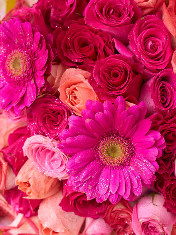 Fuego rosa